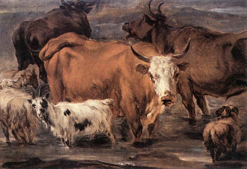 Animal Study dd, BERCHEM, Nicolaes